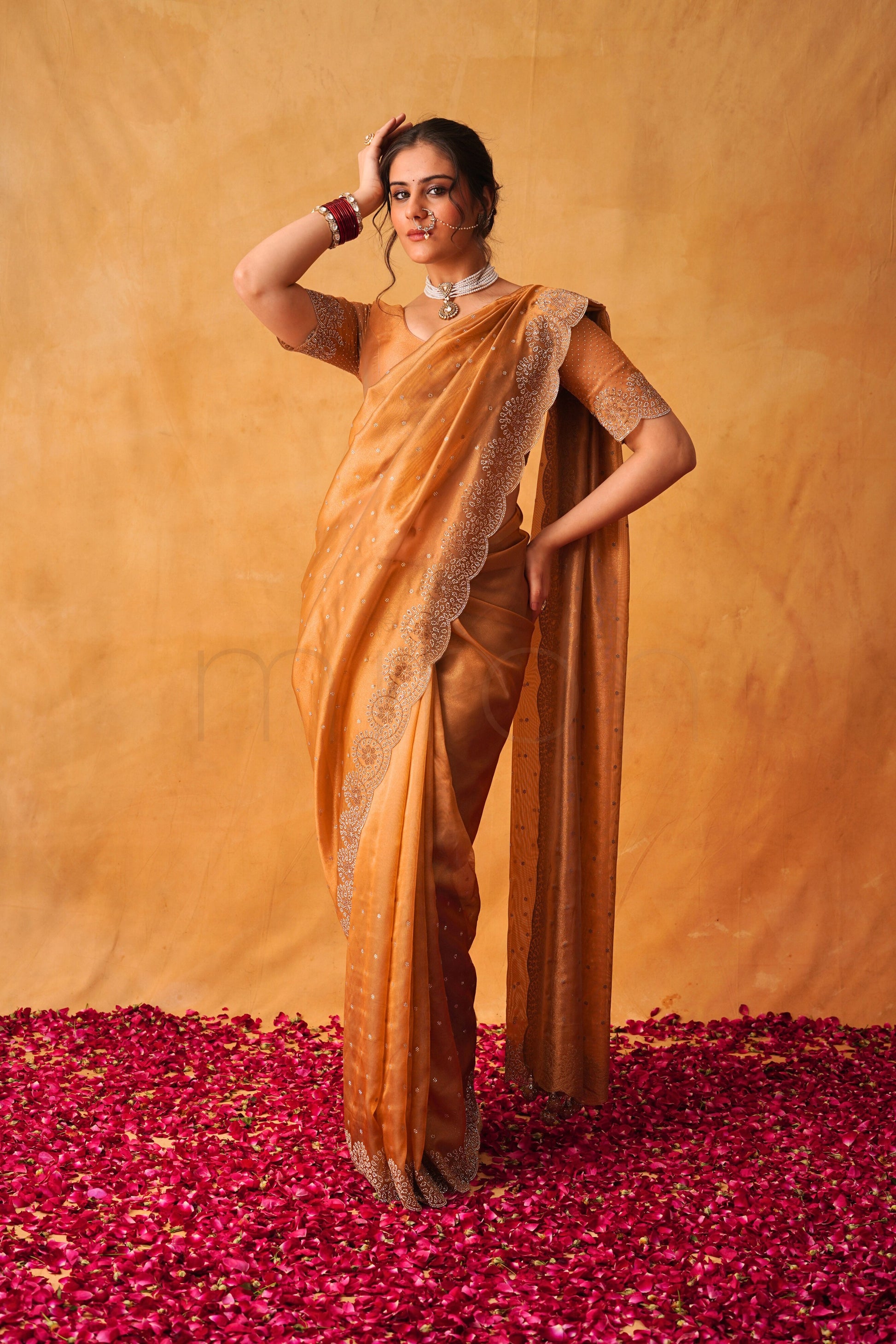 Rust-Gold Handcrafted Organza Saree