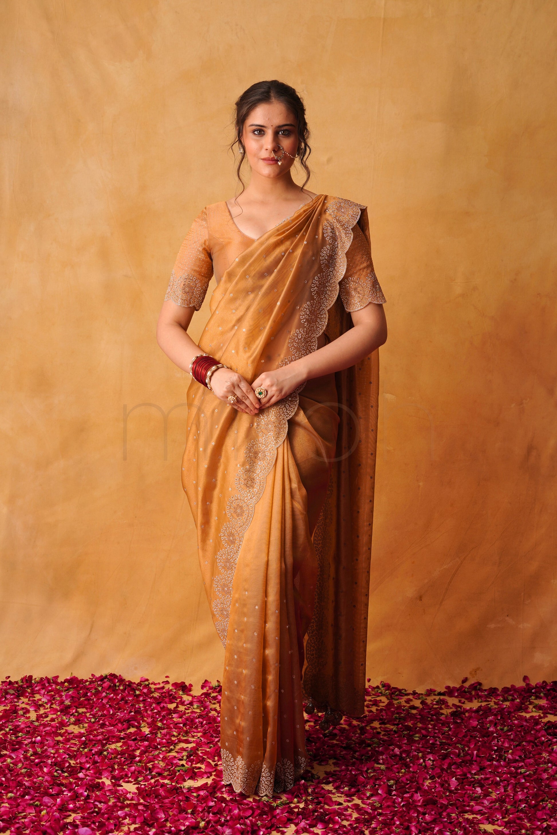 Rust-Gold Handcrafted Organza Saree