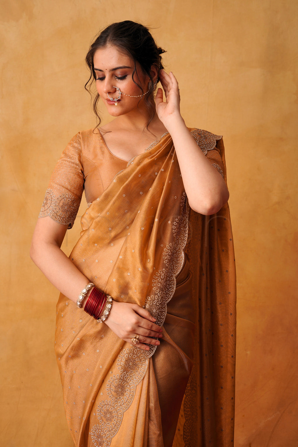 Rust-Gold Handcrafted Organza Saree