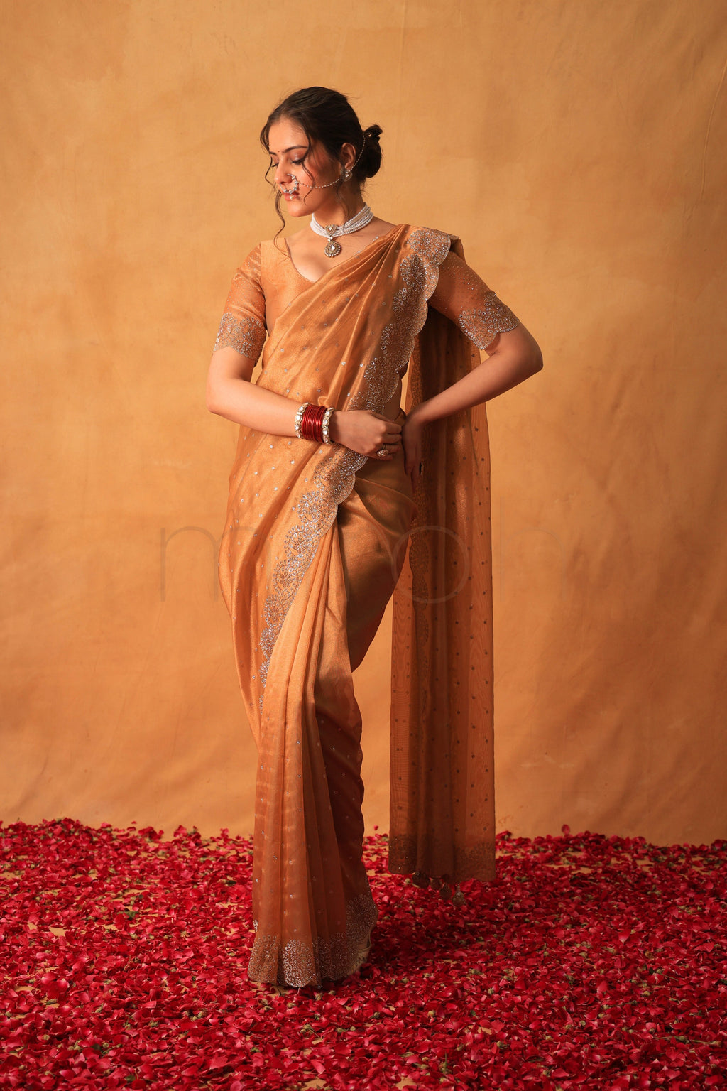 Rust-Gold Handcrafted Organza Saree