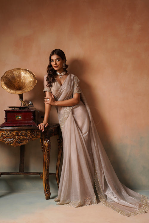 Chikoo Organza Saree with Cutdana Stonework Border