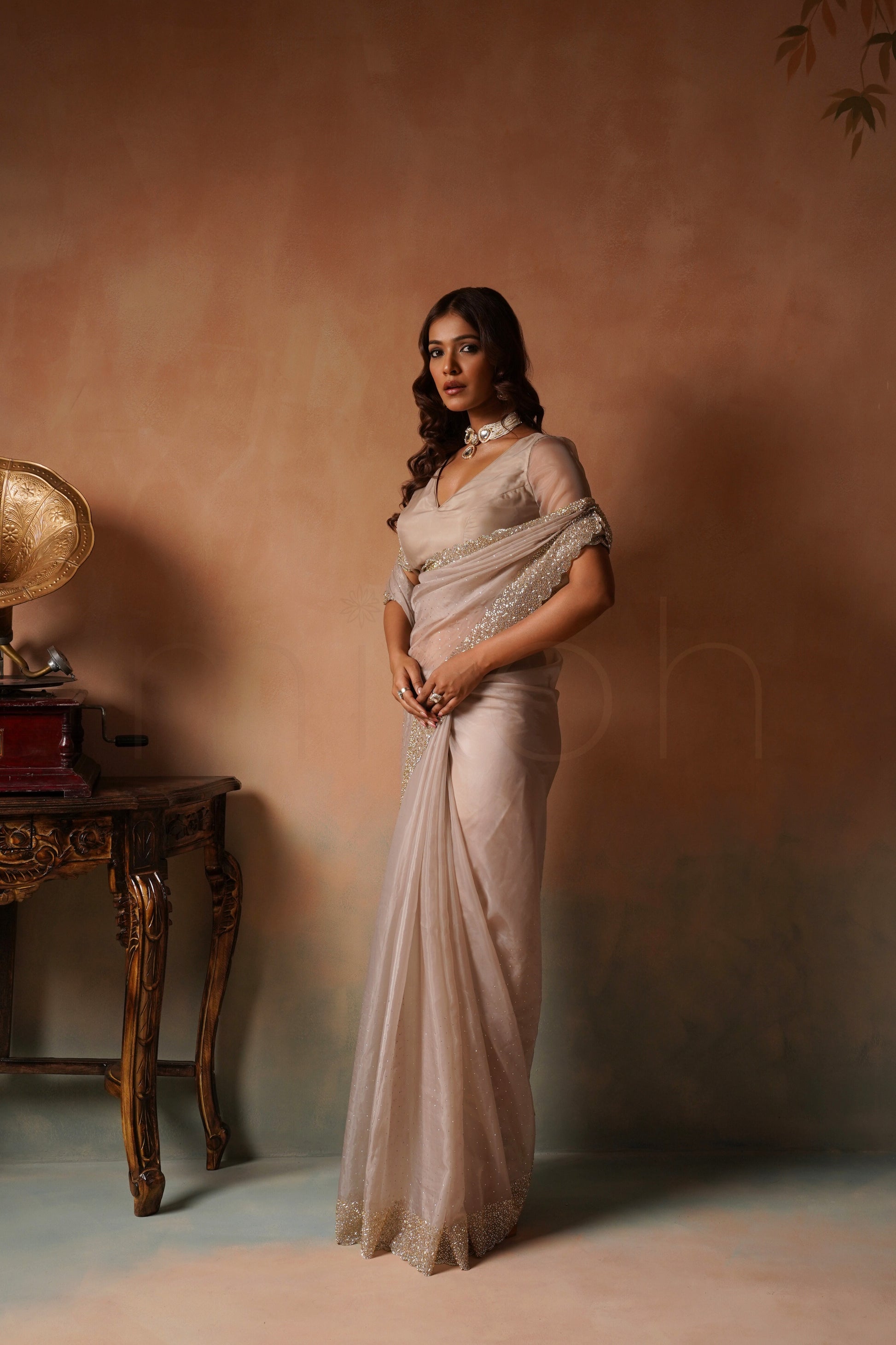 Chikoo Organza Saree with Cutdana Stonework Border