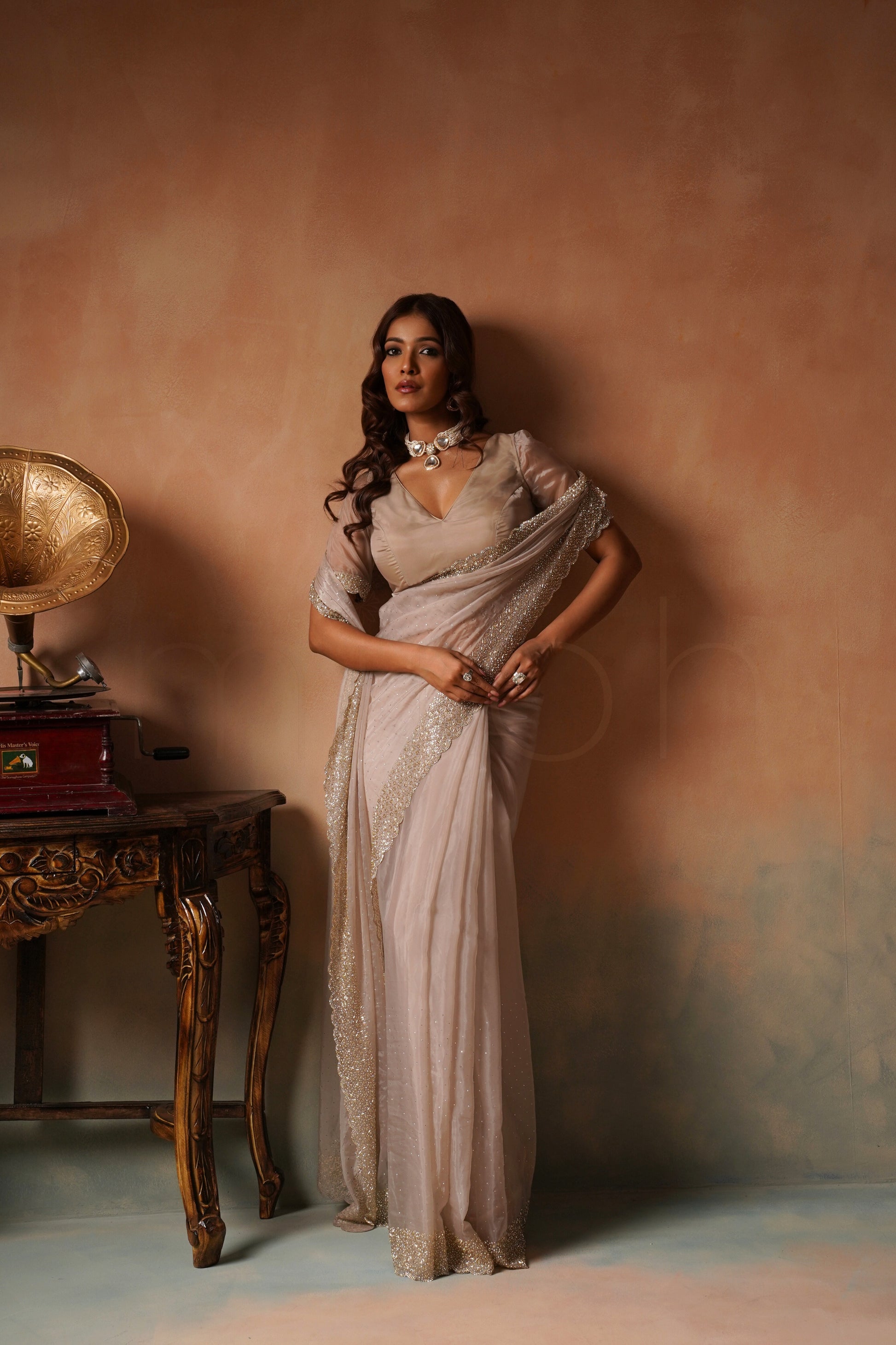 Chikoo Organza Saree with Cutdana Stonework Border